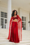 Royal Red Hand-Embroidered Butterfly Bustier and Pleated Lehenga