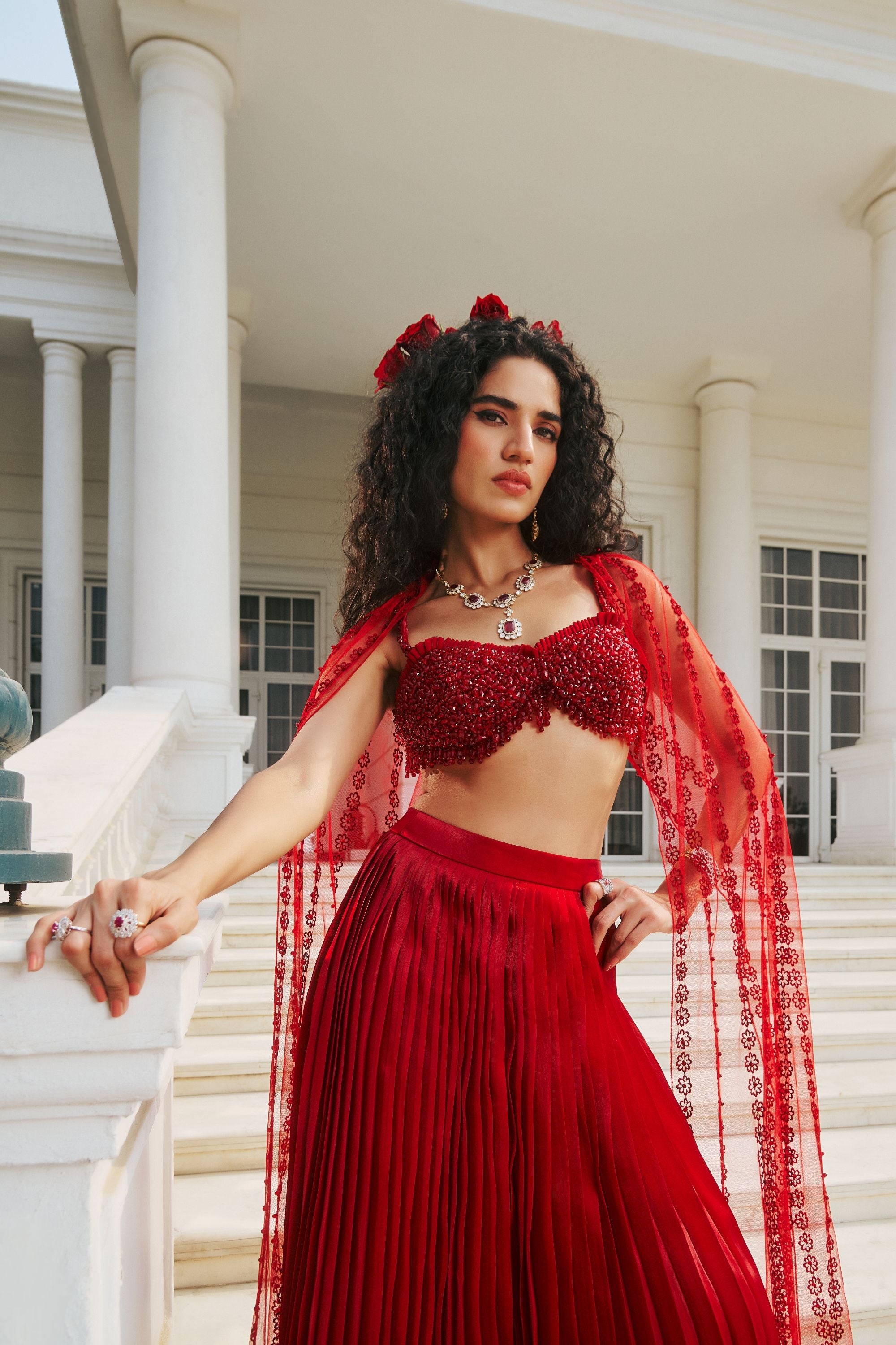 Hand Embroidered Bustier with Butterfly wing and Pleated Skirt