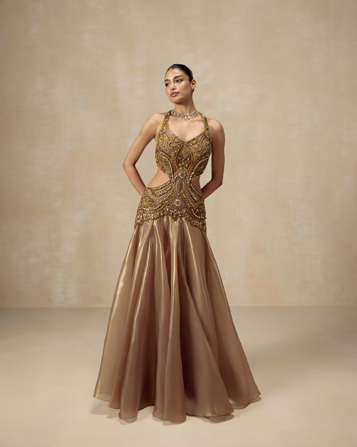 Gold Jewelled Open-Back Gown, editorial image — RINESSA